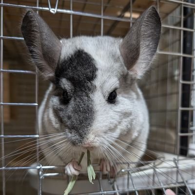 ymj0930hamu's profile picture. 