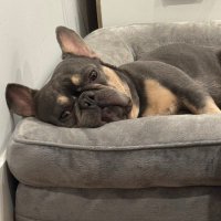 MANTOU (@mantoujojo) 's Twitter Profile