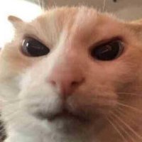 TheOneNeverKnown (@theoneneverkno_) 's Twitter Profile