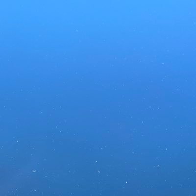 jz_jjjj's profile picture.