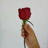tibyanabdalazim's profile picture. U Of K   FMS    016