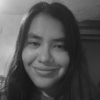 Bloguero de todo un poco ❤️ | Escribir es mi pasión 📝
