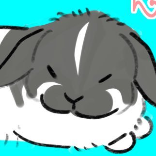 ささと申します。ホーランドロップのまんまるだんごちゃんを愛してやまないアカウントです🐰イラスト、写真どちらも無断転載❌