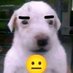 Glaze 9 (@dogoswag98) Twitter profile photo Glaze 9 (@dogoswag98) Twitter profile photo