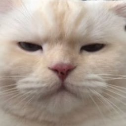 puremagic___'s profile picture. 