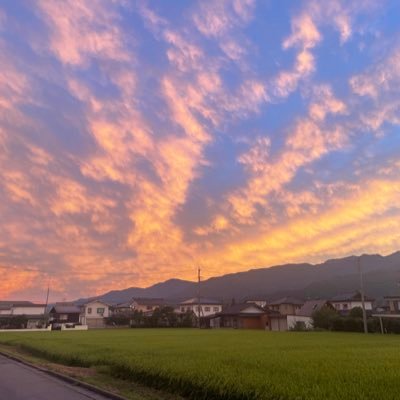 esperanto_ngn's profile picture. komencanto