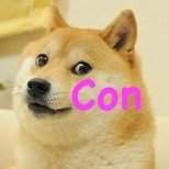 DogeCon (@dogeconference) 's Twitter Profile Photo DogeCon (@dogeconference) 's Twitter Profile Photo