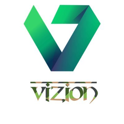 VizionLMT's profile picture. 