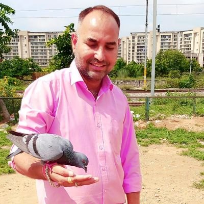 ASHOK_KAROL_INC Profile Picture