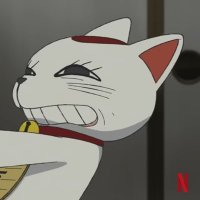 なお( ᐙ )🥫&🐸北九州軽貨物 (@nao1172fc) 's Twitter Profile