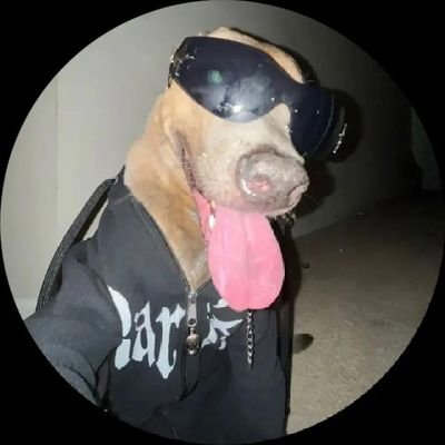 Yarzar785359's profile picture. 