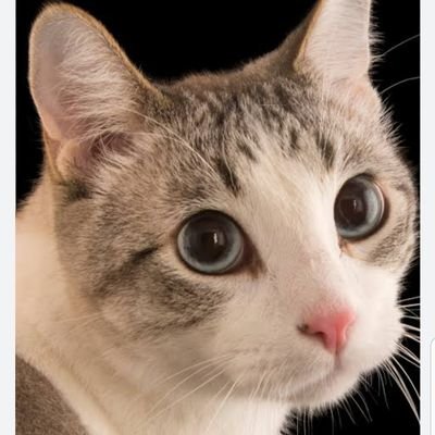 elias_ifeanyi4's profile picture. We move