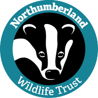Northumberland WildlifeTrust (@nwildlifet18493) 's Twitter Profile
