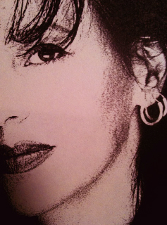 illudopingo's profile picture. 