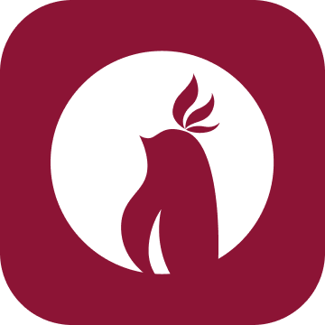 Brinstonkk's profile picture. 