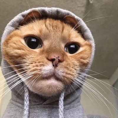 seevgiiiyyy's profile picture. 