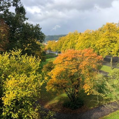 CREDU66's profile picture. Politik Mitte links💚#noAfD, #Schwurbler und ähnliche Vollpfosten!#StandwithUkraine / Interests: movies, TV series, books, ...🌻 Big ❤️. @KevinSpacey Fan.