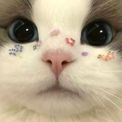 gluecoz's profile picture. 🥑꒳ ˓ יִ🥕🥓꒱·˚