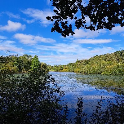 Leeds City Councils beautiful parks, woodlands, nature reserves and everything that goes on in them! 🌳
Enquiries: parks@leeds.gov.uk or 0113 3786002