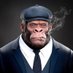 Smith | Innate_Kong🦍🌱 (Ø,G) SparkChain.AI (@tee_splillz) Twitter profile photo Smith | Innate_Kong🦍🌱 (Ø,G) SparkChain.AI (@tee_splillz) Twitter profile photo