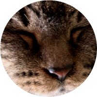 アッキー.net (ikunoCam) (@akki_0429_net) 's Twitter Profile