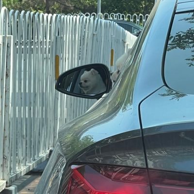 1348469799q's profile picture. 