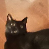 あんどー (@1370ando) 's Twitter Profile