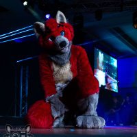 Pup Kaiser (@pupkaiser) 's Twitter Profile Photo