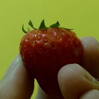 ejay_lcq's profile picture. Travel | Food | Sleep