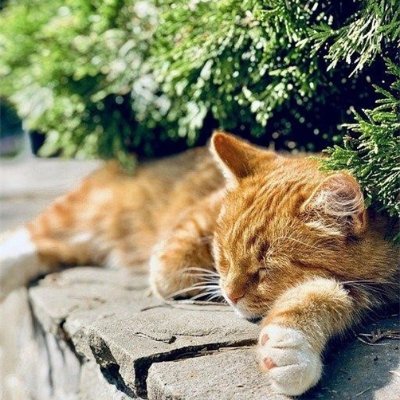 お金の増やし方やお得情報など紹介中。私自身お金に苦労した経験から生活に困窮している方を助けたいと思い、多少ですが現金給付企画を始めました★ フォロワーさん優先⇒ https://t.co/wLLE4dXOoJ