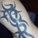 Robin Vester - @Robin7695 - Twitter