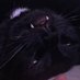 SoRrY (@sorry_vlrt) Twitter profile photo
