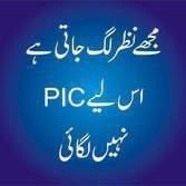 AtherFare79708's profile picture. Melophile 🎧
Obsession with aurora ✨
Mesophile 💫