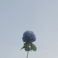 U (@interlude_oasis) 's Twitter Profile Photo U (@interlude_oasis) 's Twitter Profile Photo