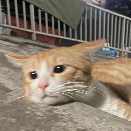 feelsodrained's profile picture. 