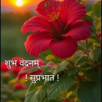 Vipinbolan's profile picture. 