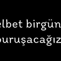 asi adam33 (@m_pasinlioglu) Twitter profile photo