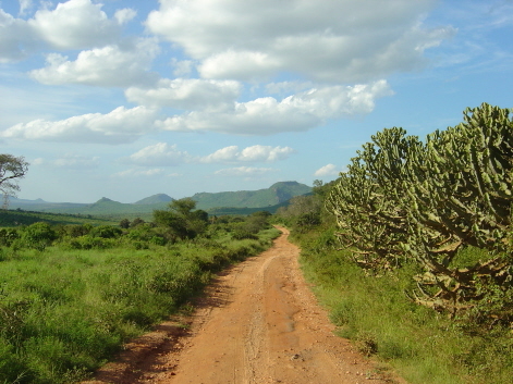 equator_travel's profile picture. Working to support responsible travel and sustainable tourism development around the World.