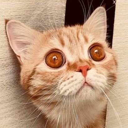 gh3363t's profile picture. 