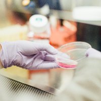Research and Innovation - HIOWH (@shft_research) 's Twitter Profile Photo