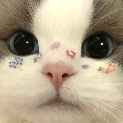 mari mengeluh bersama sama cantik