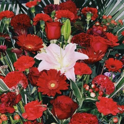 j0BkOXmdPL50664's profile picture. 愛国垢🇯🇵日本保守党17＊＊15
