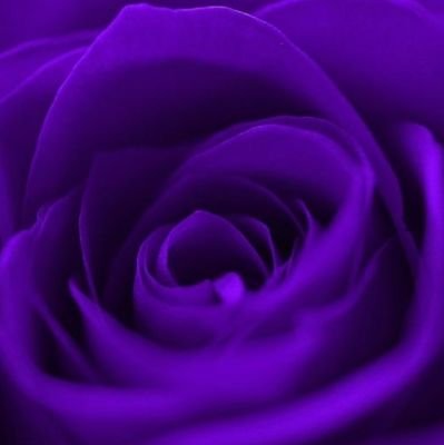 X_Purple_Rose_X's profile picture. 💜🎵🎵💜 M U S I C  L O V E R 💜🎵🎵💜
