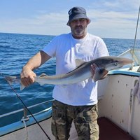 Spencer Platt (@spencerplatt3) 's Twitter Profile
