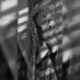 Asma' 𓂆 (@elasmasalim) Twitter profile photo Asma' 𓂆 (@elasmasalim) Twitter profile photo
