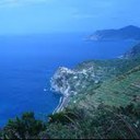 Patrick Kwon - @thebigbird8 - Twitter