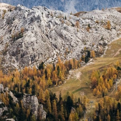 achillez16's profile picture. 