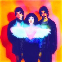 The Velveteers (@thevelveteers) 's Twitter Profile