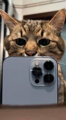 rafastico's profile picture. 69