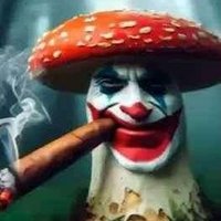 X.e.nos (@sexenos) 's Twitter Profile Photo